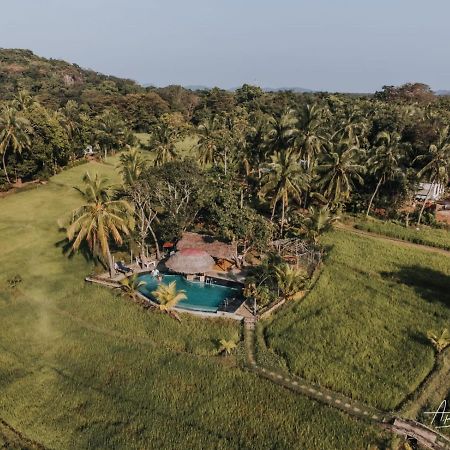 Nelu Resort Sigiriya Exteriér fotografie