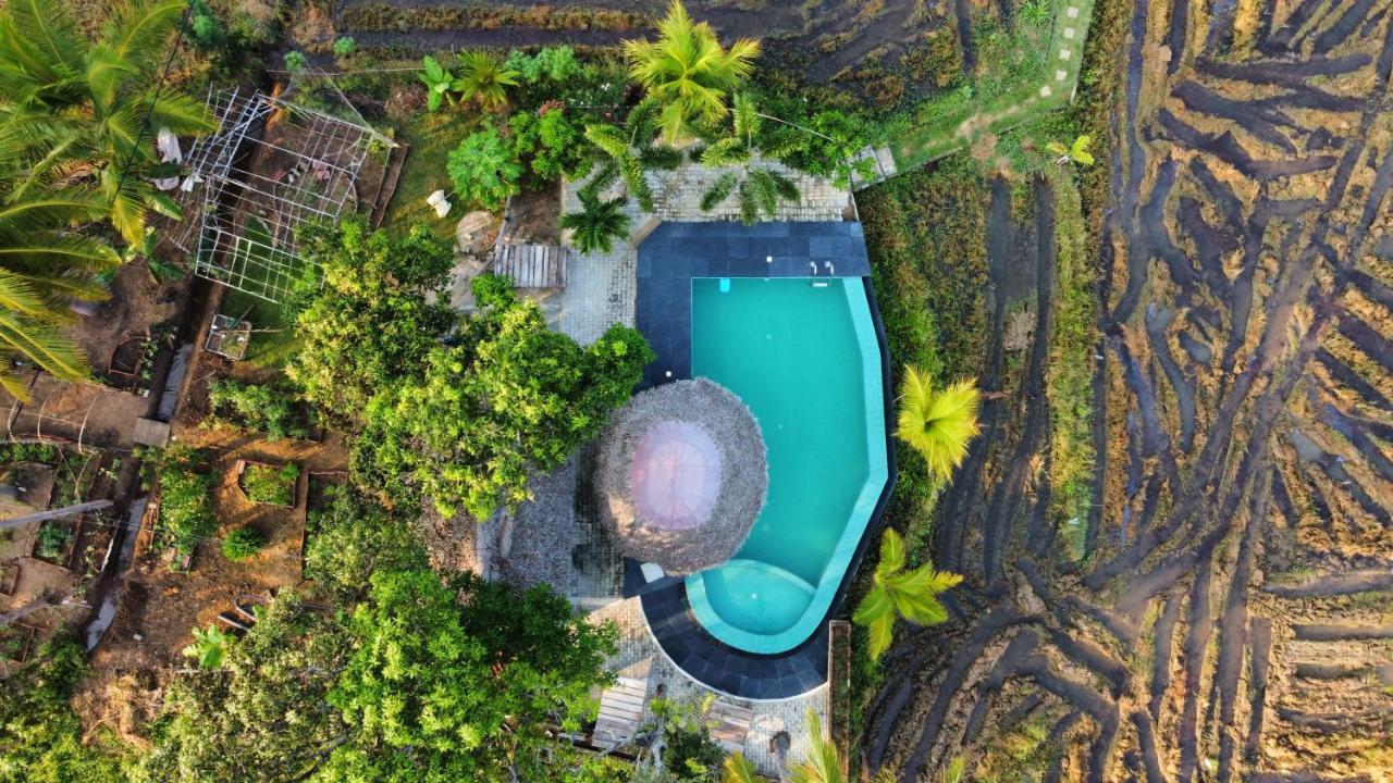 Nelu Resort Sigiriya Exteriér fotografie