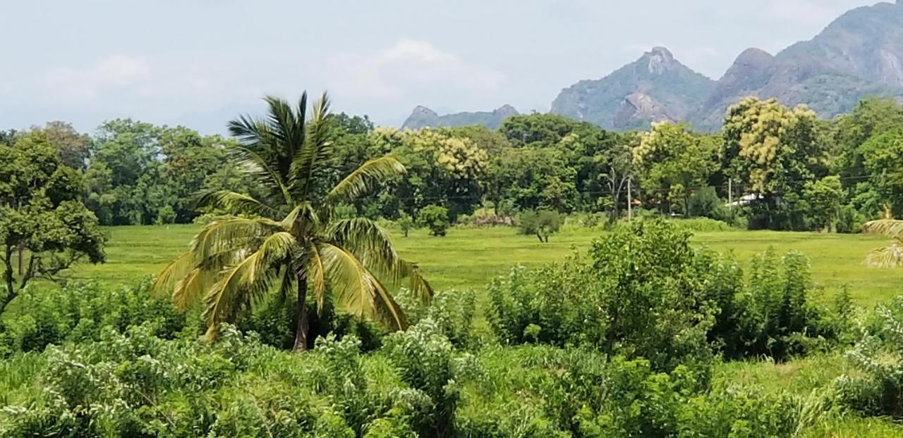 Nelu Resort Sigiriya Exteriér fotografie