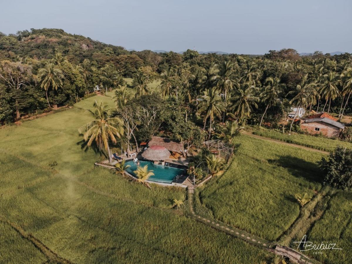 Nelu Resort Sigiriya Exteriér fotografie