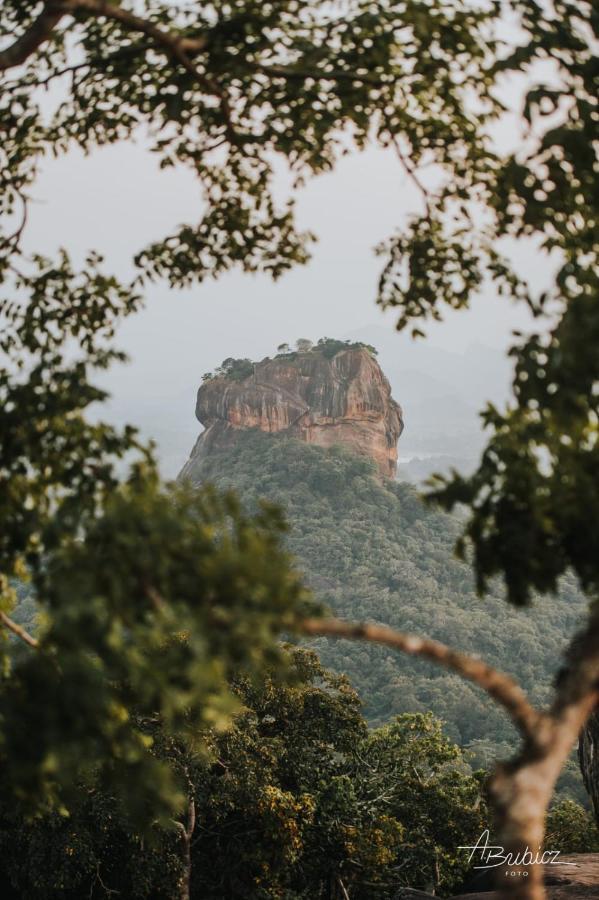 Nelu Resort Sigiriya Exteriér fotografie