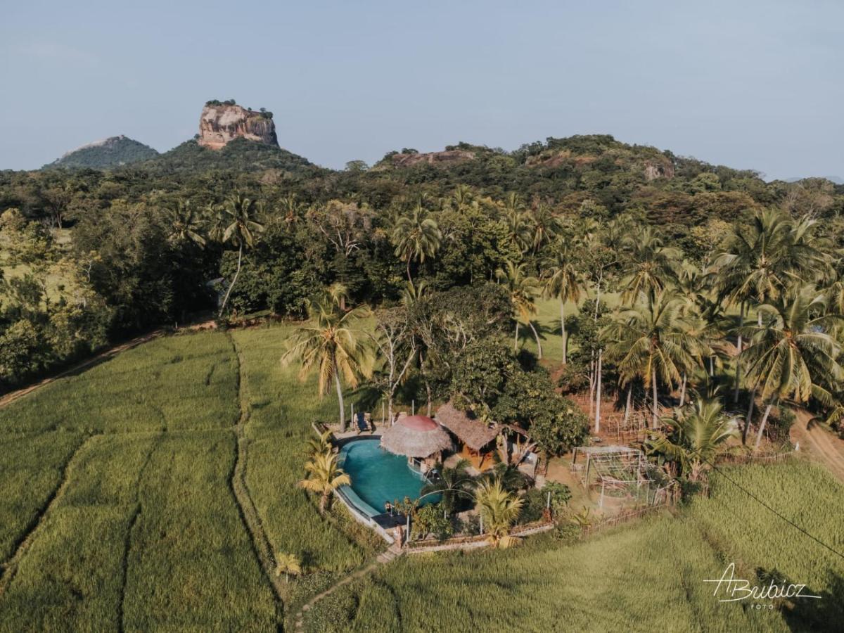 Nelu Resort Sigiriya Exteriér fotografie